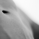 pat_torso